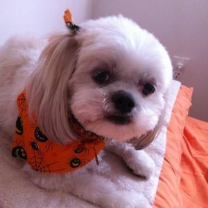 Meet your Posher, Rosemary